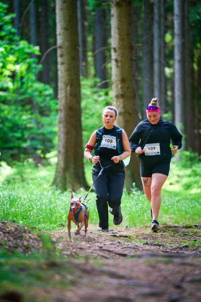Krkonošský canicross - Jilemnice – 30. května 2026
