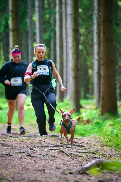 Krkonošský canicross - Jilemnice – 30. května 2026