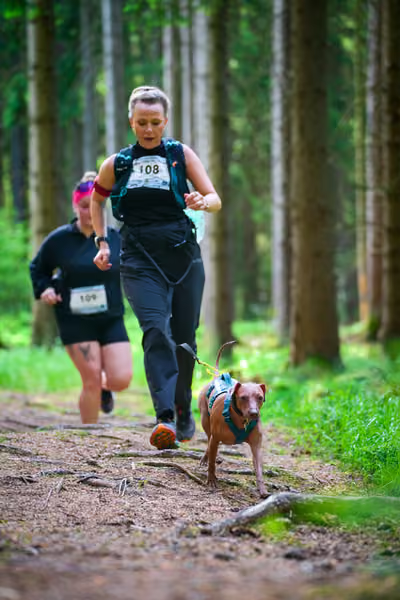 Krkonošský canicross - Jilemnice – 30. května 2026