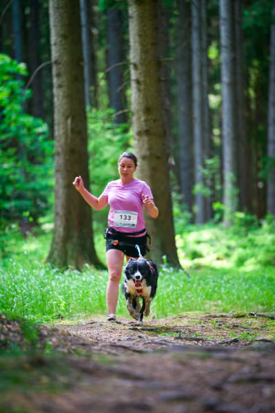 Krkonošský canicross - Jilemnice – 30. května 2026