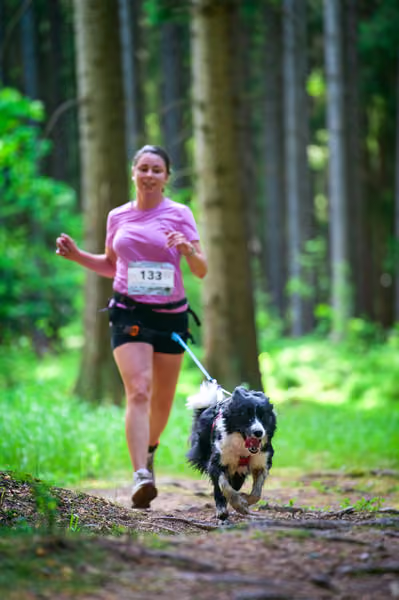 Krkonošský canicross - Jilemnice – 30. května 2026