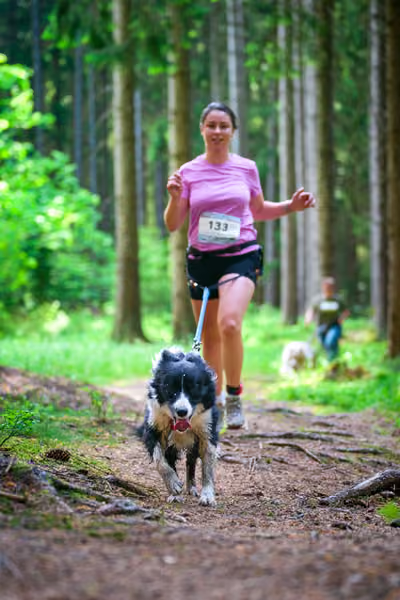 Krkonošský canicross - Jilemnice – 30. května 2026