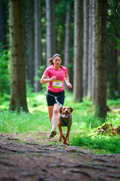 Krkonošský canicross - Jilemnice – 30. května 2026