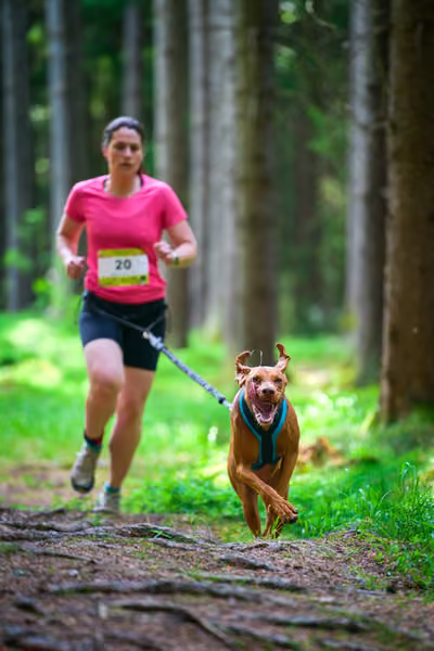 Krkonošský canicross - Jilemnice – 30. května 2026
