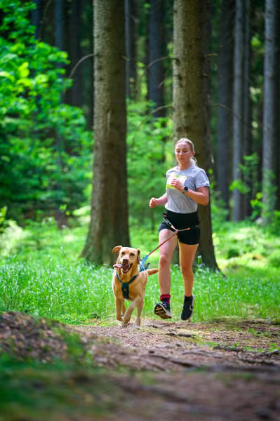 Krkonošský canicross - Jilemnice – 30. května 2026