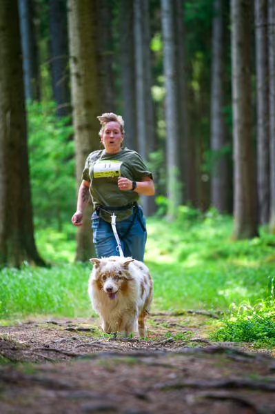 Krkonošský canicross - Jilemnice – 30. května 2026
