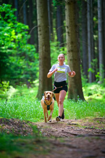Krkonošský canicross - Jilemnice – 30. května 2026