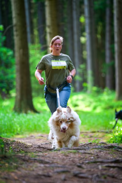 Krkonošský canicross - Jilemnice – 30. května 2026