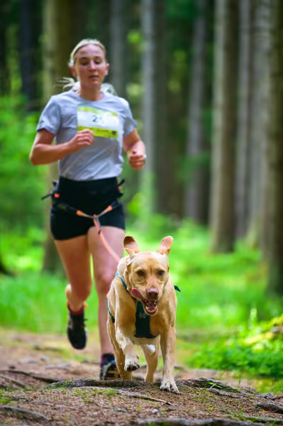 Krkonošský canicross - Jilemnice – 30. května 2026