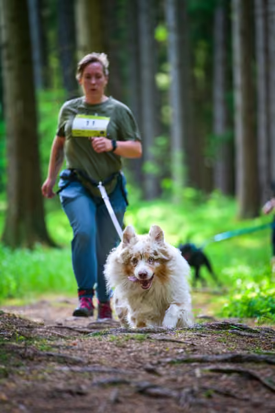 Krkonošský canicross - Jilemnice – 30. května 2026
