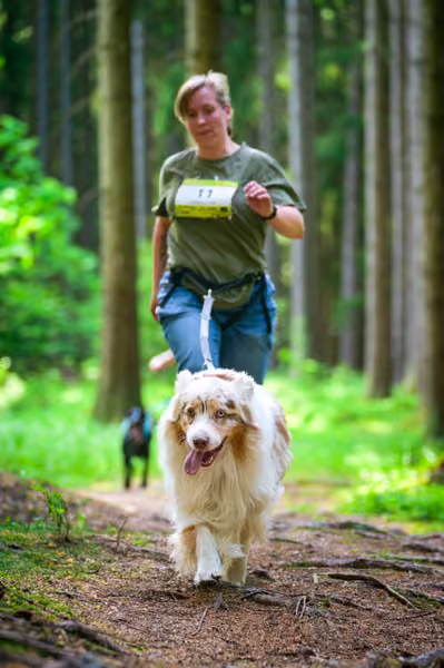 Krkonošský canicross - Jilemnice – 30. května 2026