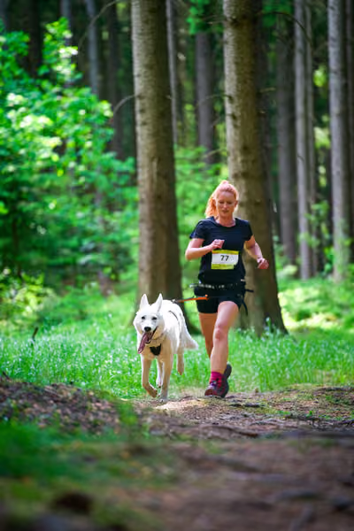 Krkonošský canicross - Jilemnice – 30. května 2026