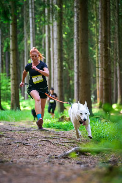 Krkonošský canicross - Jilemnice – 30. května 2026