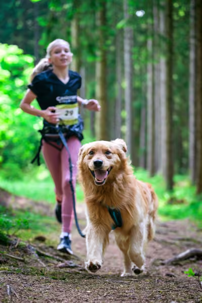 Krkonošský canicross - Jilemnice – 30. května 2026