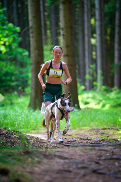 Krkonošský canicross - Jilemnice – 30. května 2026