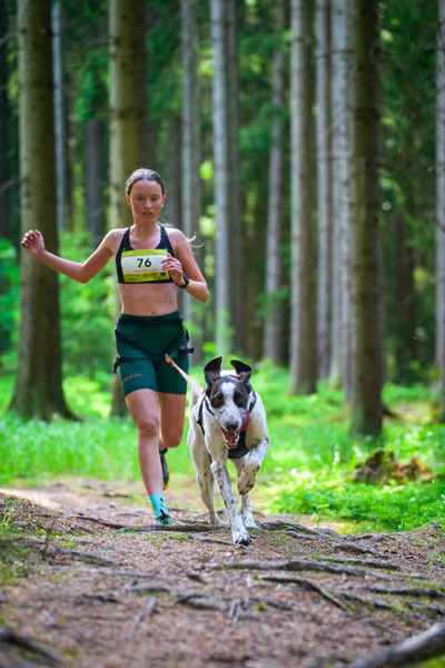 Krkonošský canicross - Jilemnice – 30. května 2026