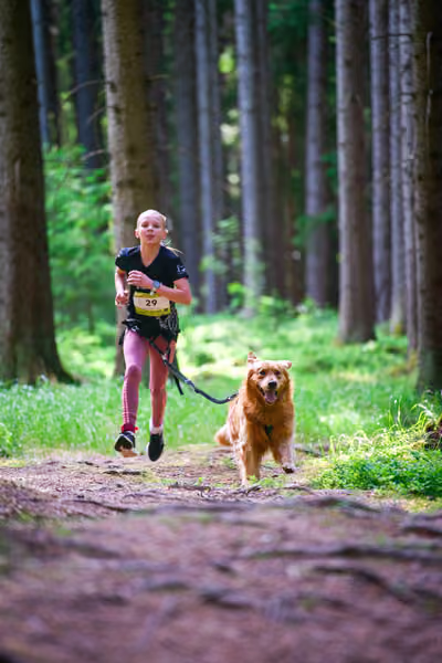 Krkonošský canicross - Jilemnice – 30. května 2026