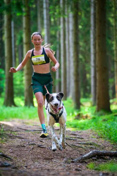 Krkonošský canicross - Jilemnice – 30. května 2026