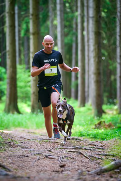 Krkonošský canicross - Jilemnice – 30. května 2026