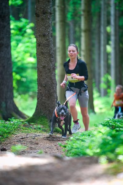 Krkonošský canicross - Jilemnice – 30. května 2026