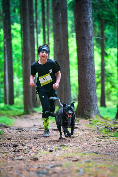 Krkonošský canicross - Jilemnice — JIL26-337
