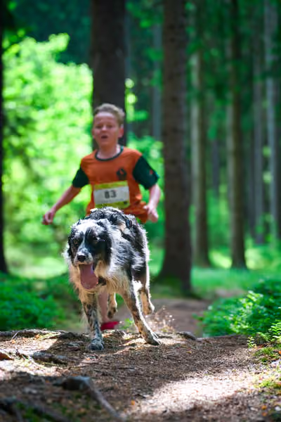 Krkonošský canicross - Jilemnice – 30. května 2026