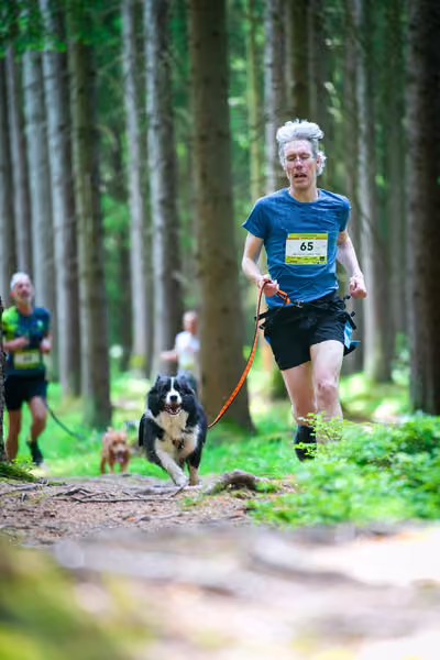 Krkonošský canicross - Jilemnice – 30. května 2026