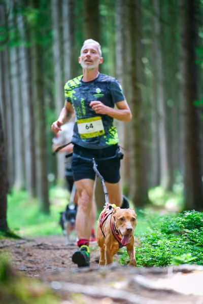 Krkonošský canicross - Jilemnice – 30. května 2026