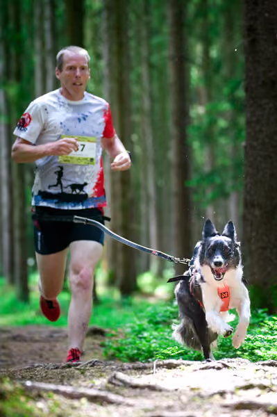 Krkonošský canicross - Jilemnice – 30. května 2026