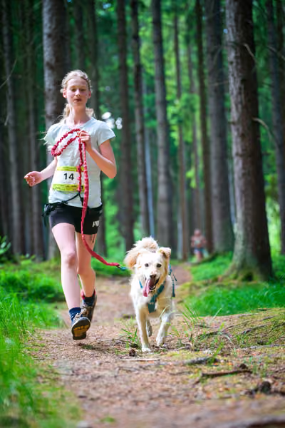 Krkonošský canicross - Jilemnice — JIL26-346