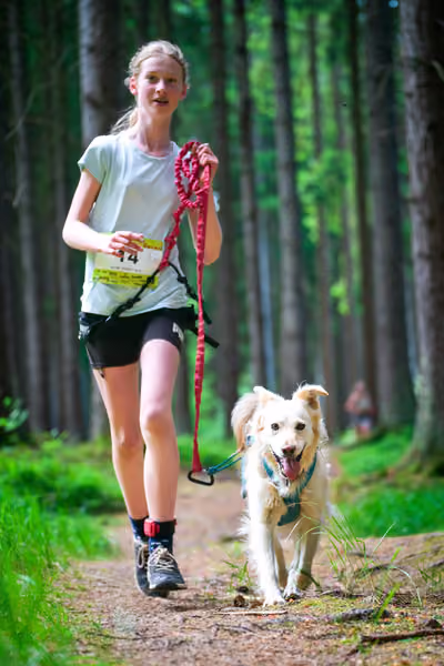 Krkonošský canicross - Jilemnice — JIL26-347