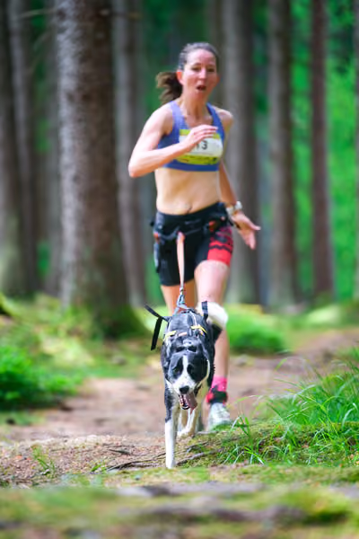 Krkonošský canicross - Jilemnice — JIL26-341