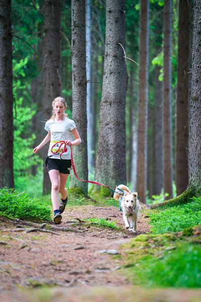 Krkonošský canicross - Jilemnice — JIL26-342