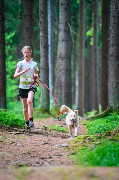 Krkonošský canicross - Jilemnice — JIL26-343