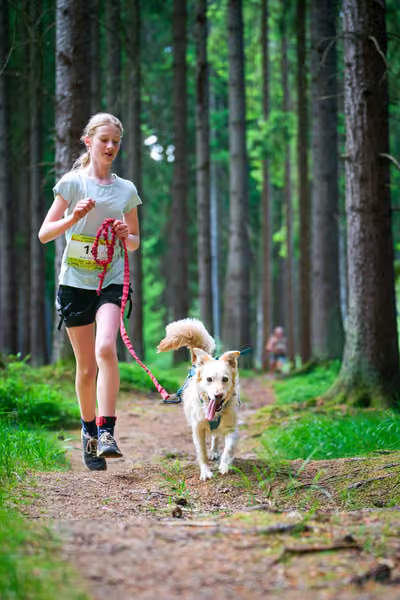 Krkonošský canicross - Jilemnice — JIL26-345