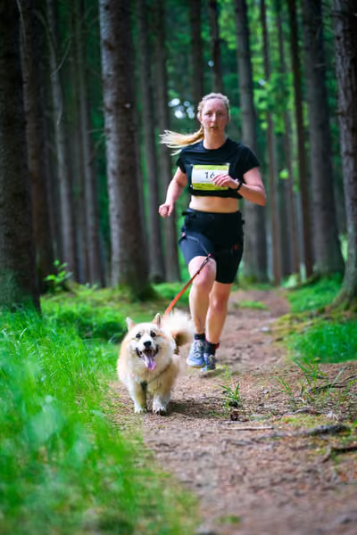 Krkonošský canicross - Jilemnice — JIL26-353