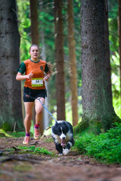 Krkonošský canicross - Jilemnice — JIL26-361