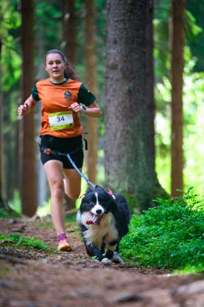 Krkonošský canicross - Jilemnice — JIL26-362