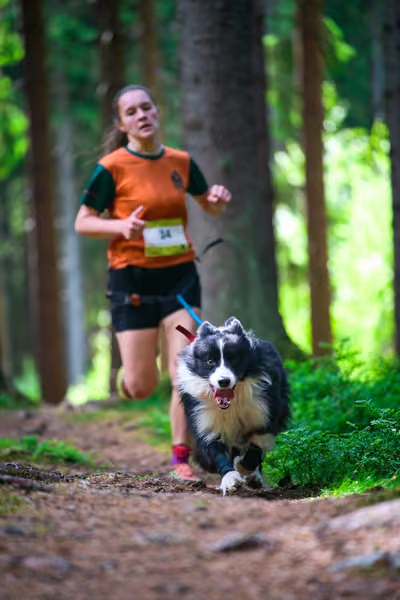 Krkonošský canicross - Jilemnice — JIL26-363