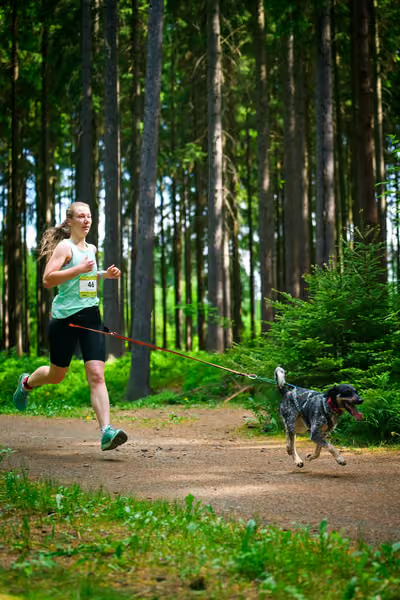 Krkonošský canicross - Jilemnice — JIL26-364