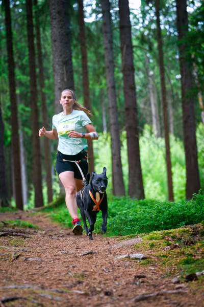 Krkonošský canicross - Jilemnice – 30. května 2026