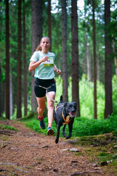 Krkonošský canicross - Jilemnice – 30. května 2026