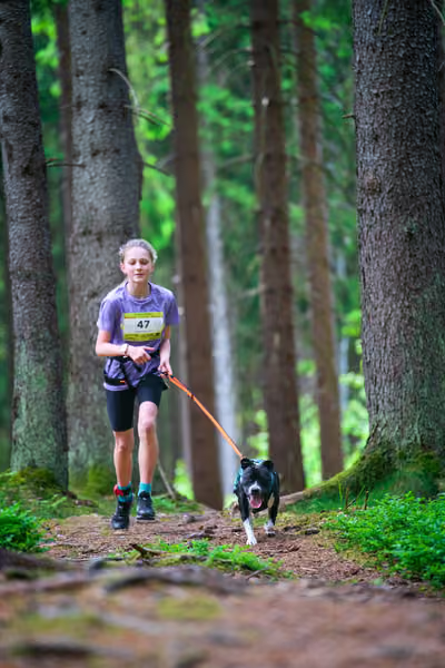 Krkonošský canicross - Jilemnice – 30. května 2026