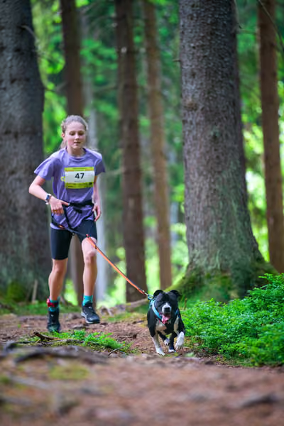 Krkonošský canicross - Jilemnice – 30. května 2026