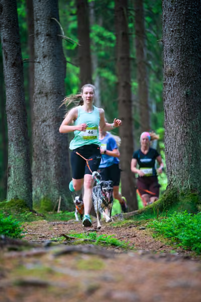 Krkonošský canicross - Jilemnice – 30. května 2026