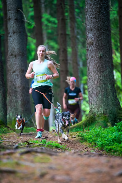 Krkonošský canicross - Jilemnice – 30. května 2026