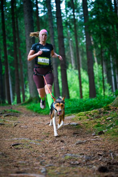 Krkonošský canicross - Jilemnice – 30. května 2026