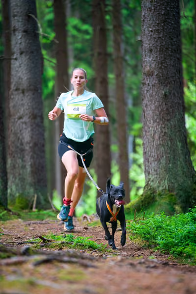 Krkonošský canicross - Jilemnice – 30. května 2026