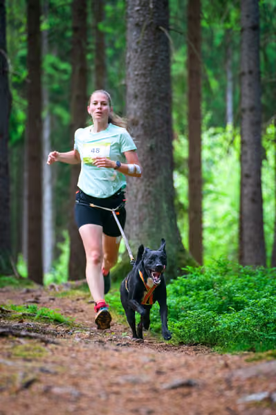 Krkonošský canicross - Jilemnice – 30. května 2026