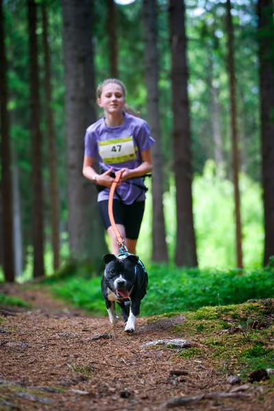 Krkonošský canicross - Jilemnice – 30. května 2026